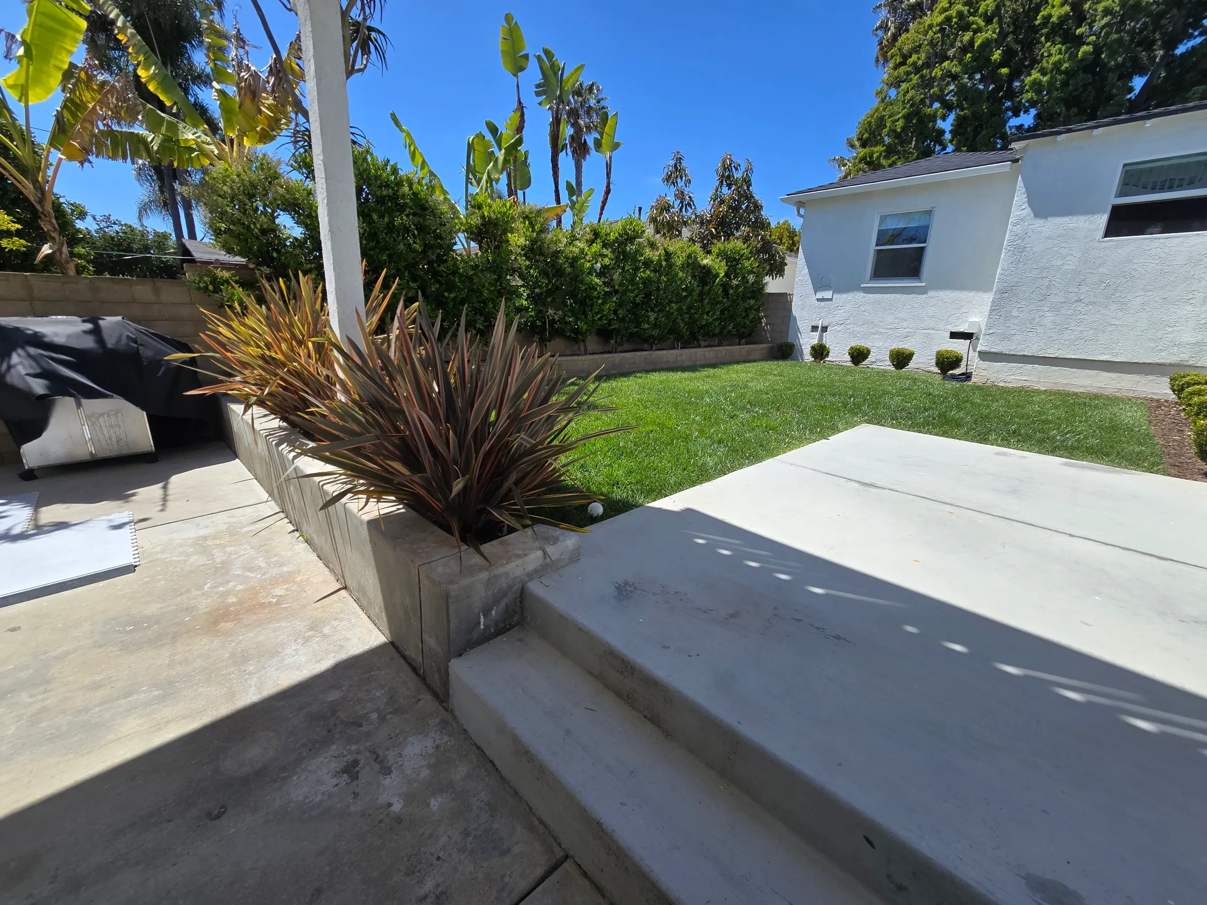 Residential artificial turf lawn framed by planting
